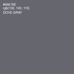 #66676E - Dove Gray Color Image